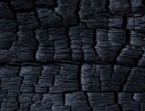 What problems can burning wet wood cause?